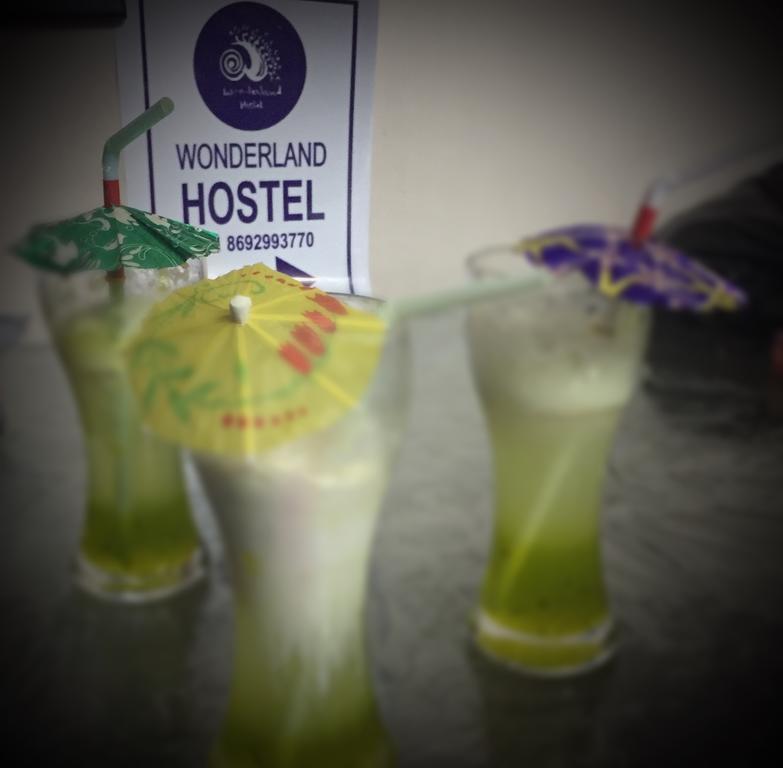 Wonderland Hostel อันจูนา ภายนอก รูปภาพ